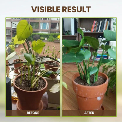 Soil Activator: Plants' Best Friend - Rejuvenate Your Plants ( BUY 1 GET 1 FREE )