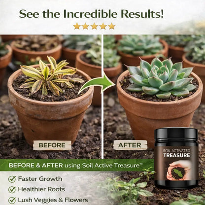 Soil Activator: Plants' Best Friend - Rejuvenate Your Plants ( BUY 1 GET 1 FREE )
