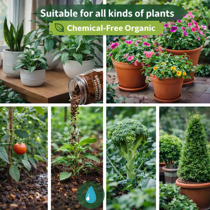 Soil Activator: Plants' Best Friend - Rejuvenate Your Plants ( BUY 1 GET 1 FREE )